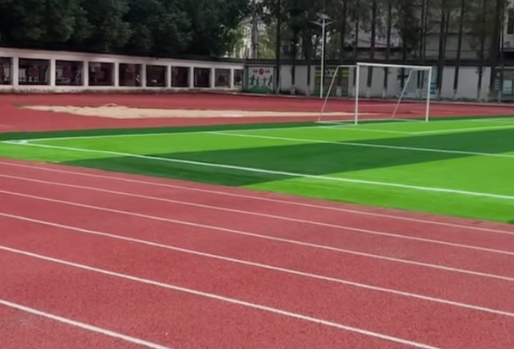 �����������������Сѧ������ܵ�