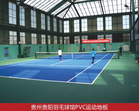 ���ݹ�����ë���PVC�˶��ذ�